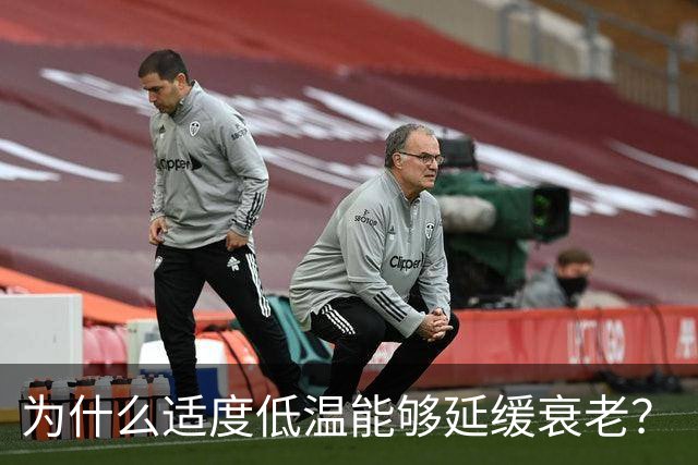 为什么适度低温能够延缓衰老？