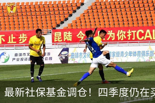最新社保基金调仓！四季度仍在买进！持有单股市值超26亿元
